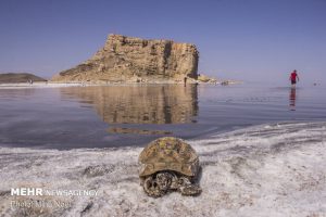 احیای دریاچه ارومیه چگونه تکمیل می‌شود؟